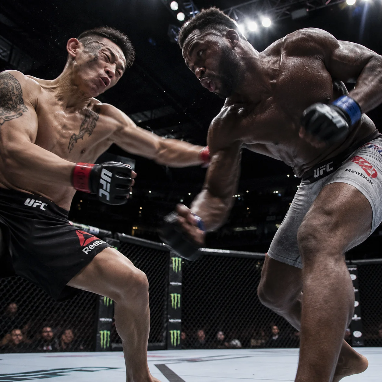 MMA – Ground & Pound